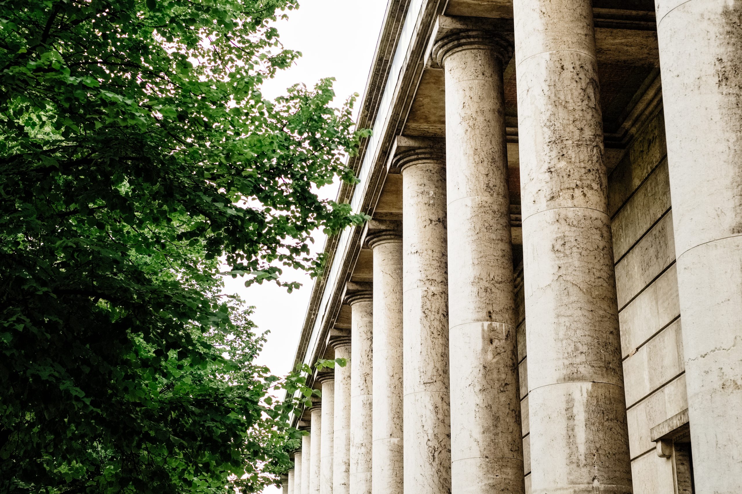 Read more about the article Lorem ipsum