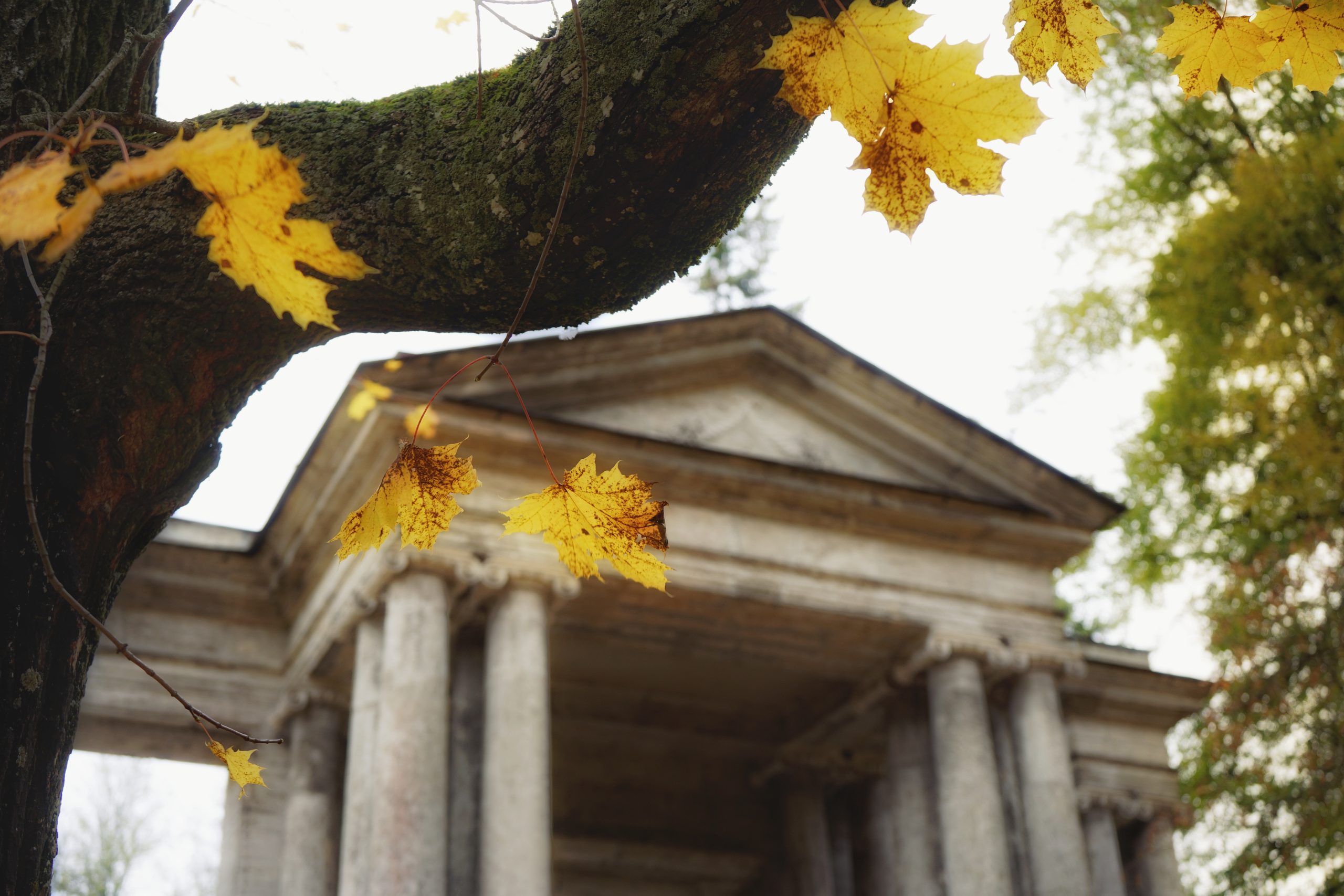 Read more about the article Lorem ipsum
