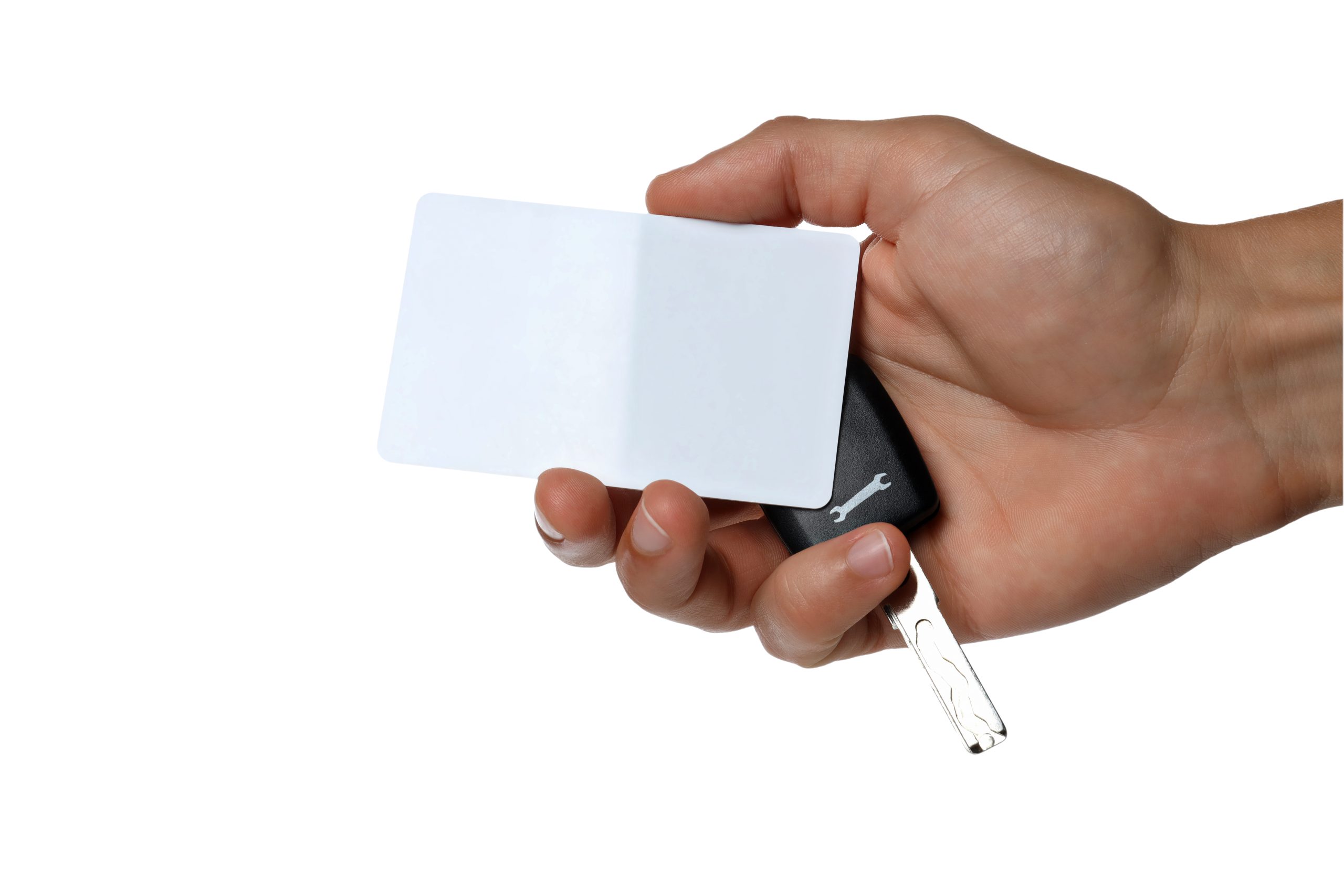 Read more about the article Lorem ipsum